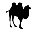 contour camel