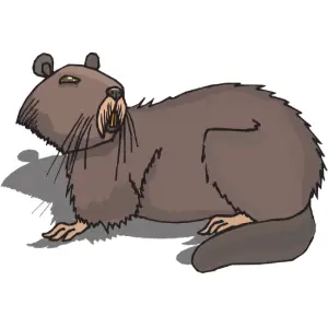 Beaver Clipart