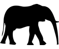 Elephant Silhouet