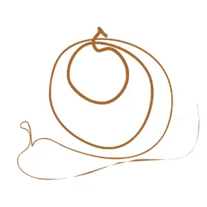 Snail Clipart