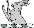 Hare Demi