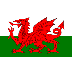 Flag of Wales - United Kingdom