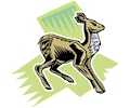 Deer 21