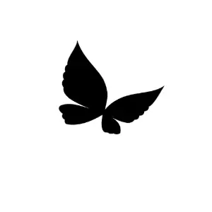 animal, insects, butterfly, black, shadow