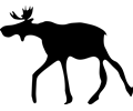 the elk