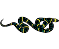 Snake 08