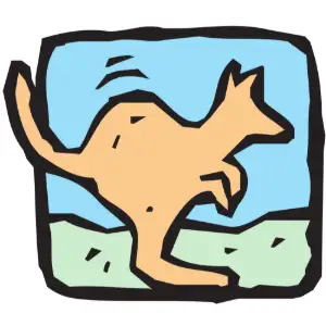 Kangaroo Clipart