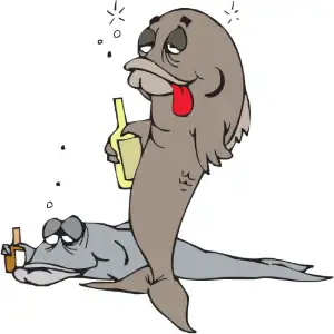 Fish Drunk Clipart