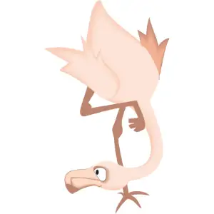 Flamingo Clipart