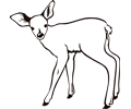 Fawn Outline