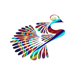 Stylized Peacock Colorful 3
