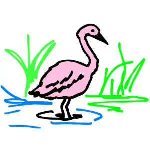 Flamingo Clipart
