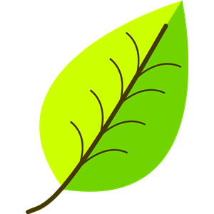Two colour leaf vectorized