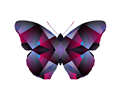 patterned butterfly 2