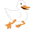 Duck 013
