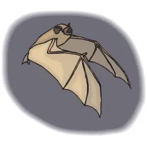 Bat Clipart
