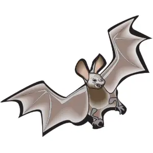 Bat Clipart