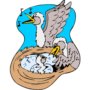 Bird Hatching 1
