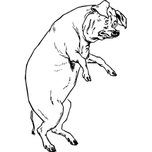 The Pig Who Had None Clipart