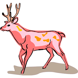 Deer 15