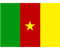 flag of Cameroon