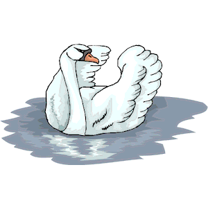 Swan 21