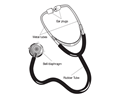58294main The.Brain.in.Space page 127 stethoscope with labels