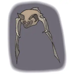 Bat Clipart