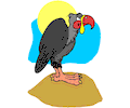 Vulture 04