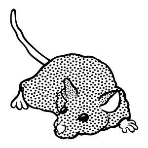 mouse - lineart