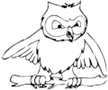 Owl 07