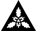 Triangular ornament 21