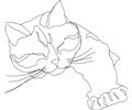 Sleepy Calico Cat (Line Drawing Only)