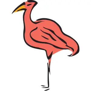 Flamingo Clipart