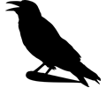 crow_silhouette