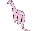 Dinornis 29