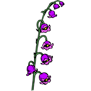 Flower 100 (colour)