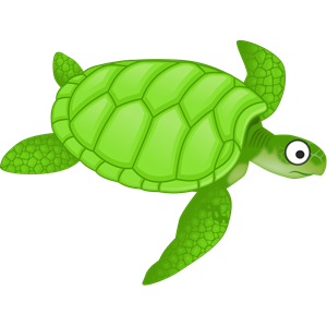 Cartoon turtle 2