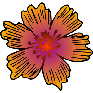 Flower 195 (colour)