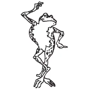 Frog Posing Clipart