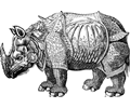 Armor Rhino