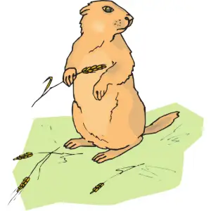 Beaver Clipart