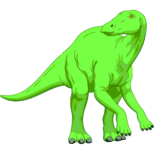 Dinornis 7
