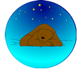 Sleeping bear under the stars