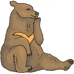 Bear Clipart