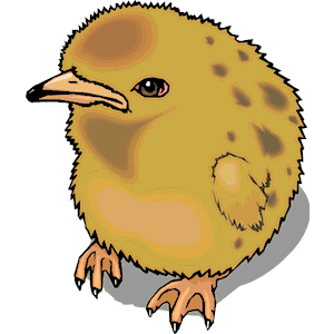 Chick 11