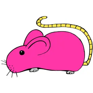 Mouse Clipart