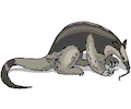 Anteater - Tamandua 1