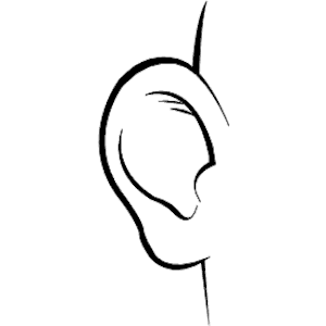 Ear 6
