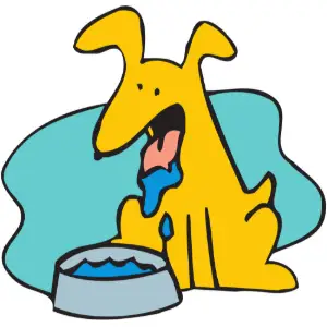 Dog Drinking Clipart
